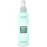 Спрей термозащитный разглаживающий - Ollin Thermal Protection Smoothing Spray 150 мл 